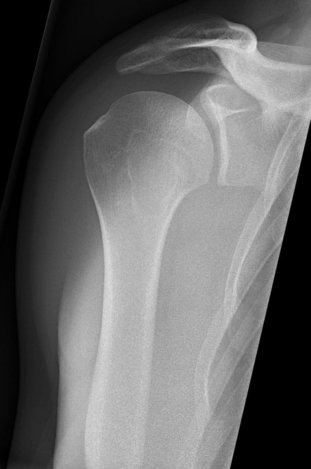 전자기파 스펙트럼 대역의 구분, 특징과 활용 ilovemyage