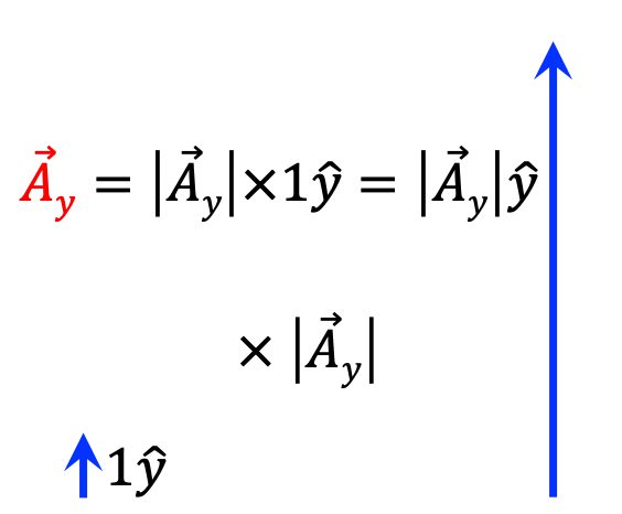 <span class="katex-eq" data-katex-display="false">y</span>축에 평행한 단위벡터 <span class="katex-eq" data-katex-display="false">1\hat{y}</span>에 벡터의 크기<span class="katex-eq" data-katex-display="false">|\vec{A_y}|</span>를 곱한 벡터 <span class="katex-eq" data-katex-display="false">\vec{A_y}</span>