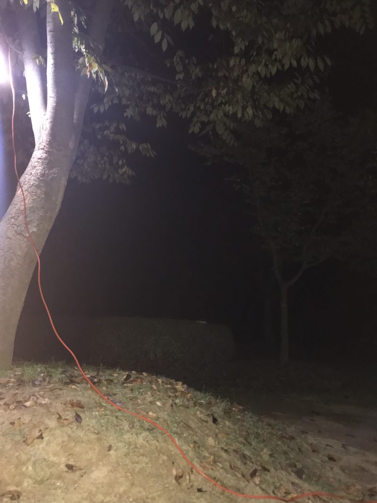 바베큐 그릴 근처에 있던 나무에서 낙엽이 떨어지고 있어요. 