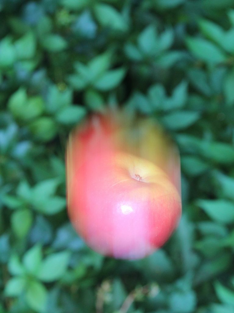 [그림 1] 등가속도 운동. 사과는 일정한 가속도로 떨어집니다. 