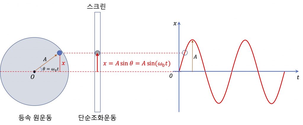 [그림 3] 단순조화운동. 단순조화운동의 변위는 등속원운동하는 물체의 위치 벡터를 투영한 것과 같습니다. 